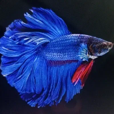 ۳ تا فلشم گم شده|اشیا|قم, نیروگاه|دیوار