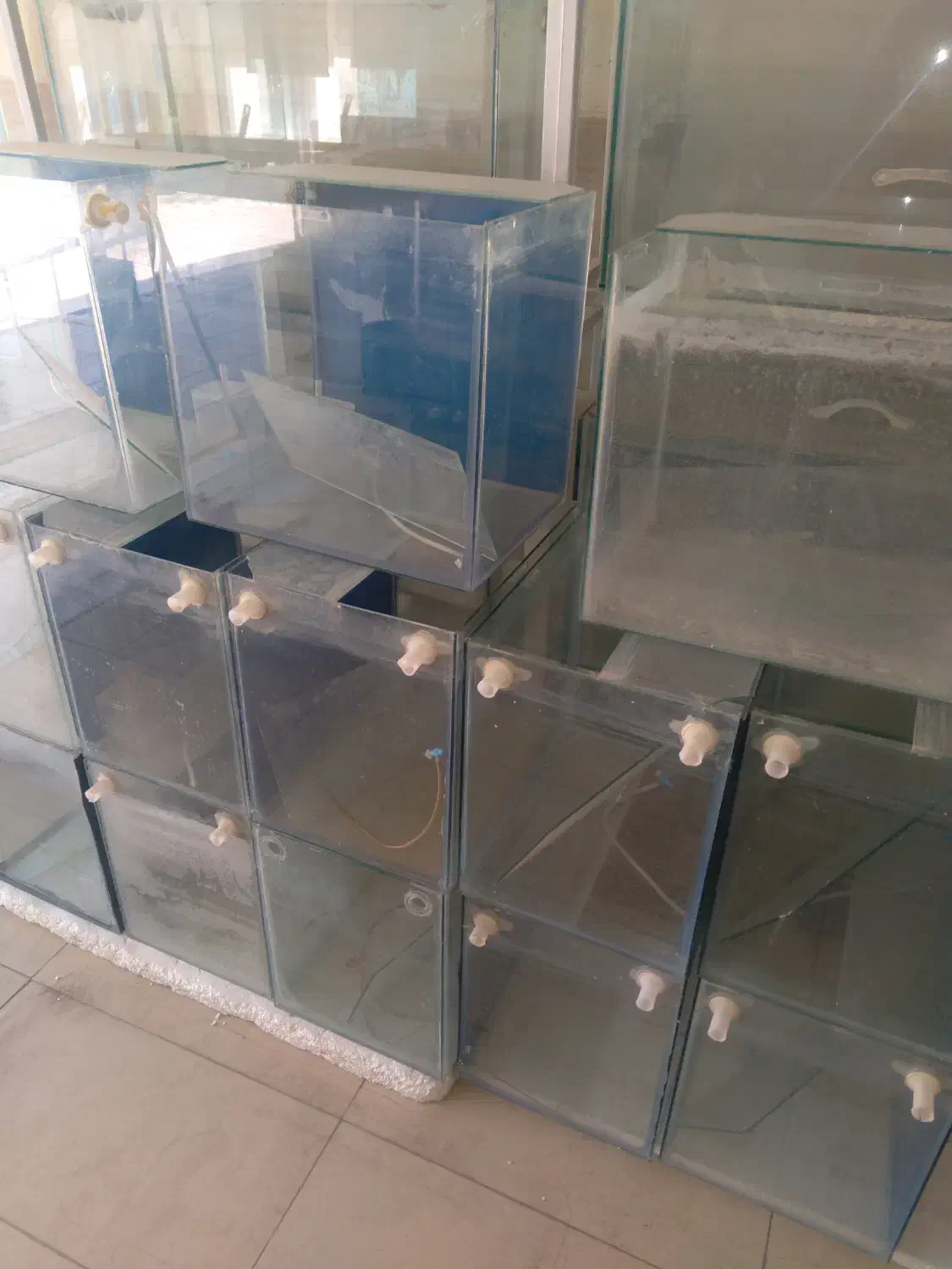 فروش فوری آکواریوم ۱۵۰ت|ماهی|گلپایگان, |دیوار