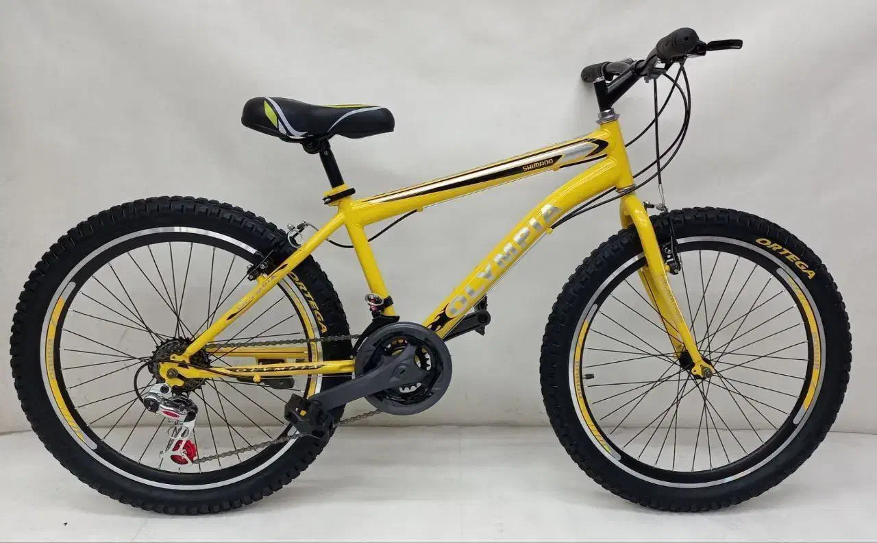 دوچرخه سایز|دوچرخه، اسکیت، اسکوتر|تهران, گمرک|دیوار