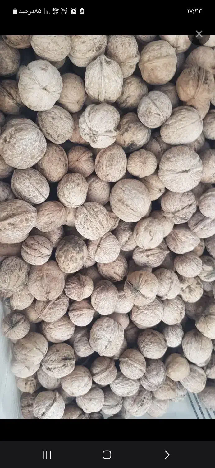 گردو ۴۳۰۰۰۰۰|خوردنی و آشامیدنی|ملایر, |دیوار