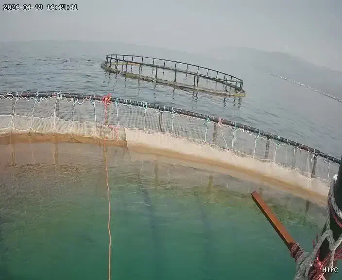 قفس پرورش ماهی دریای خزر|ماشینآلات صنعتی|تهران, حصار بوعلی|دیوار