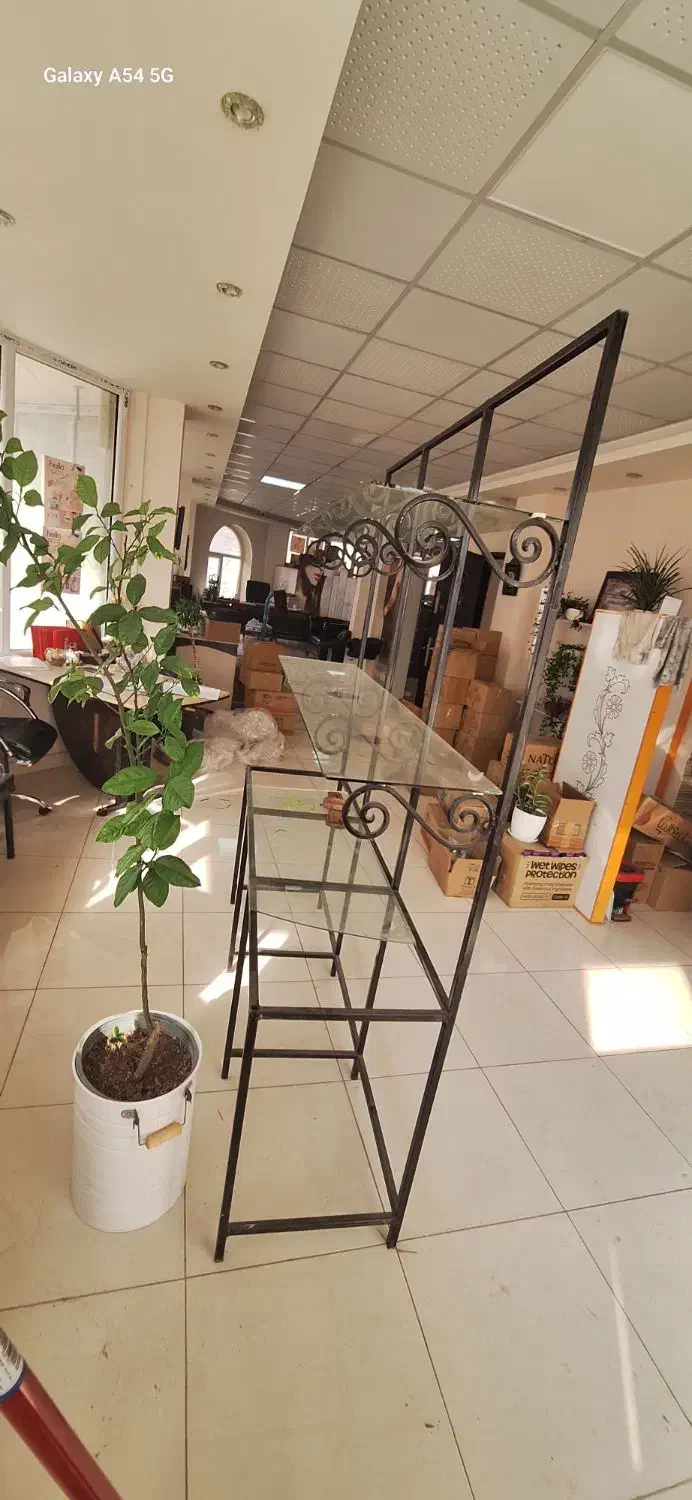 ویترین قفسه|کتابخانه، شلف، قفسه‌های دیواری|اردبیل, |دیوار