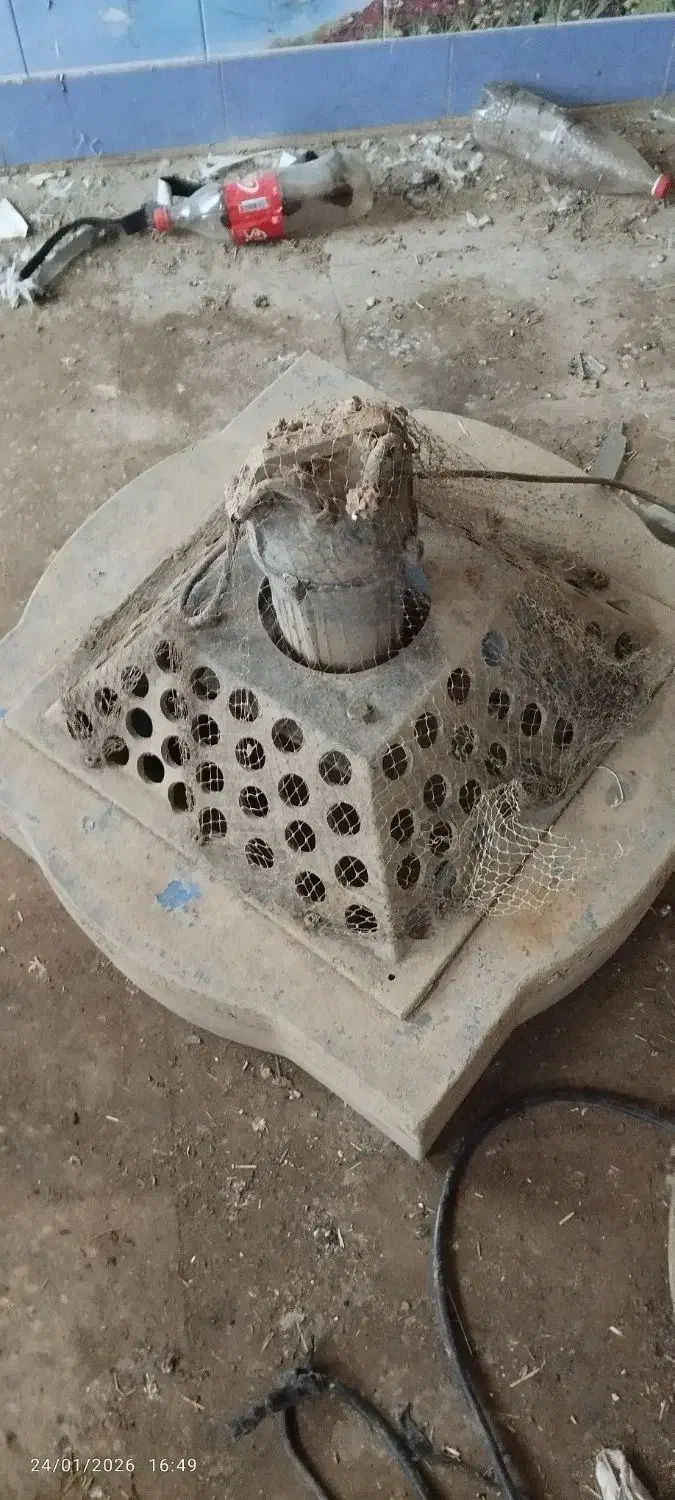 اسپلش یک اسب|کولر آبی|خرم‌آباد, |دیوار