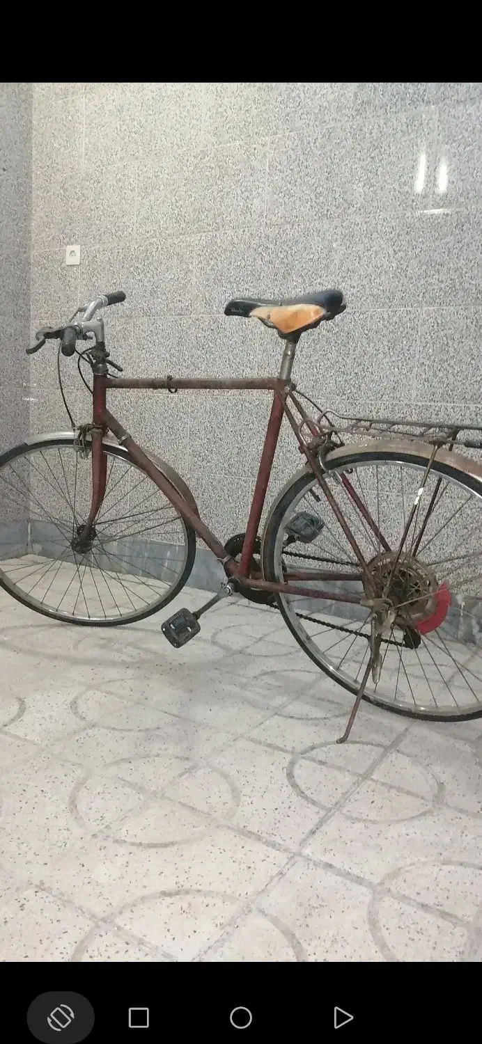 دوچرخه کورسی و رینگ|دوچرخه، اسکیت، اسکوتر|شیراز, کیان شهر|دیوار