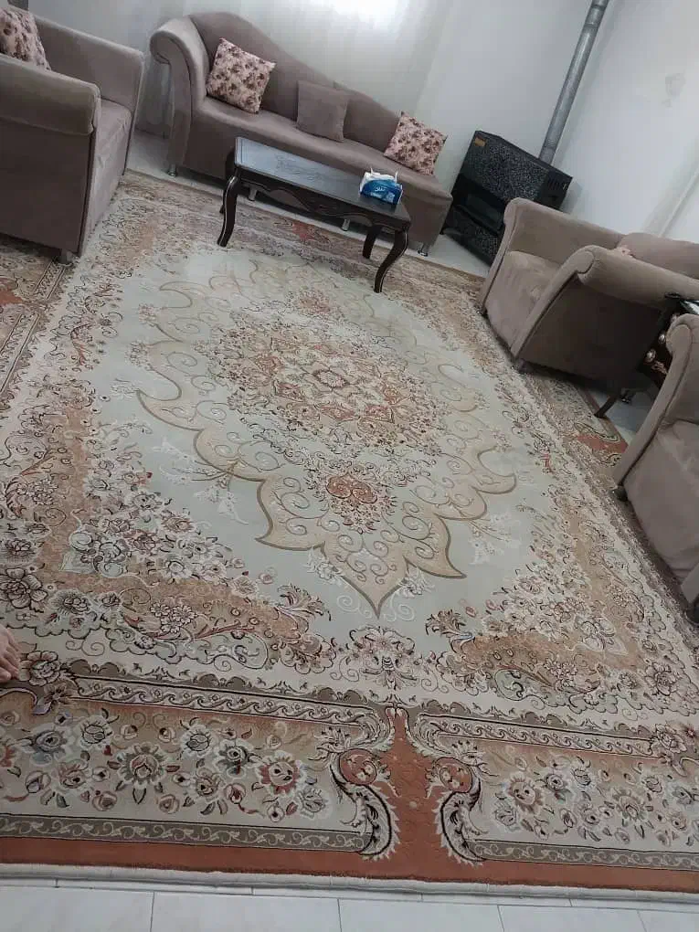فرش 12 متری نقش برجسته|فرش|رشت, رودباری|دیوار