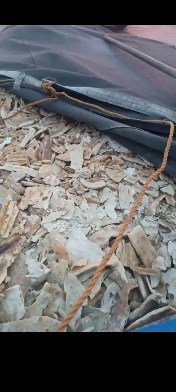 نان خشک|لوازم جانبی حیوانات|فریمان, |دیوار