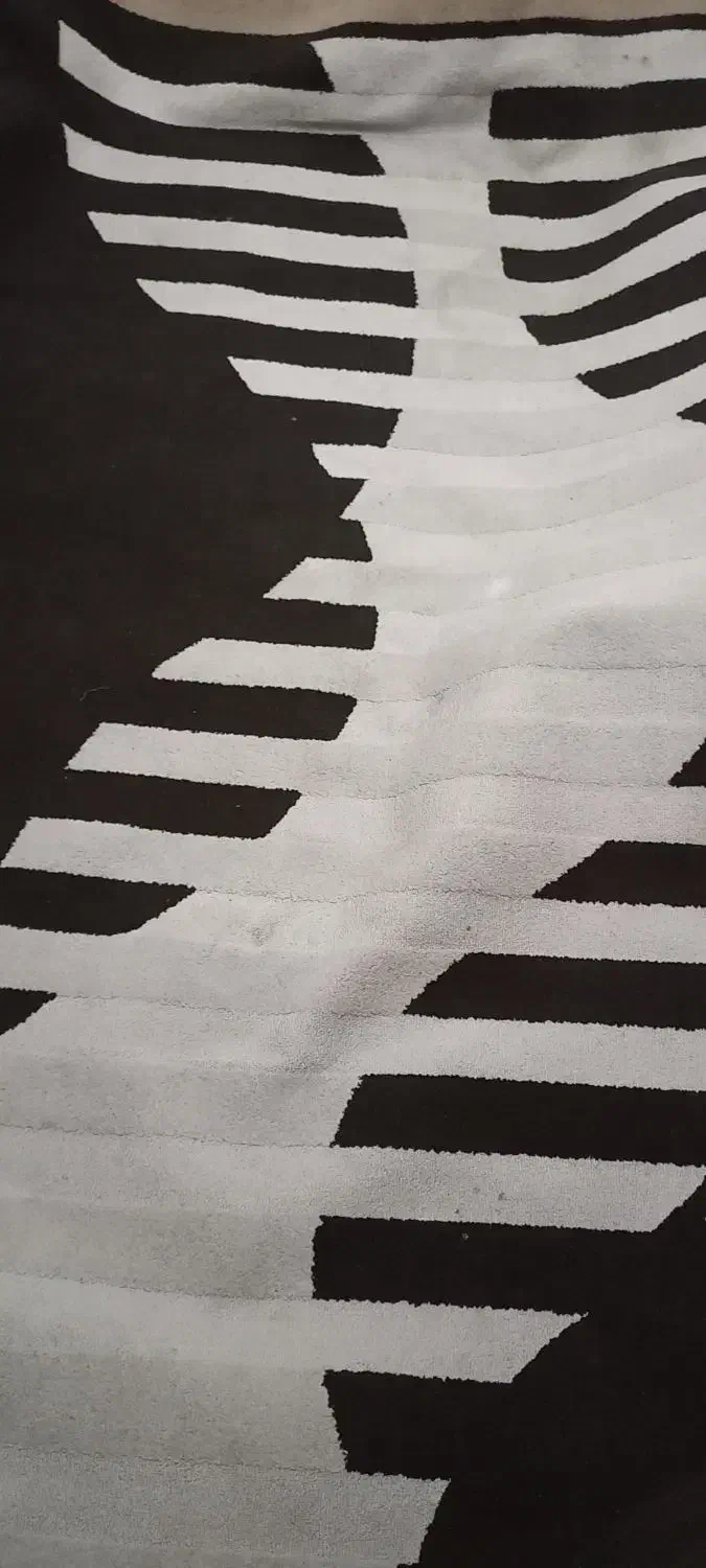 فرش ۶ متری در حد نو|فرش|مشکیندشت, |دیوار