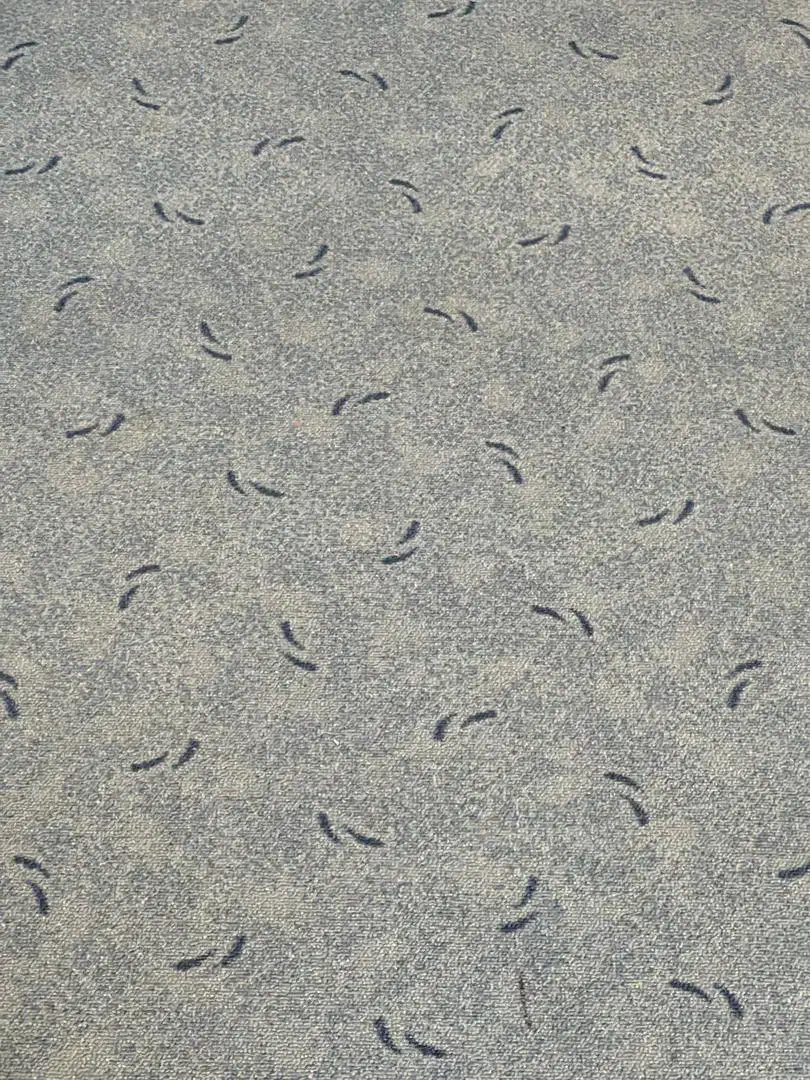 پالاز موکت|موکت|شاهین‌شهر, فردوسی|دیوار