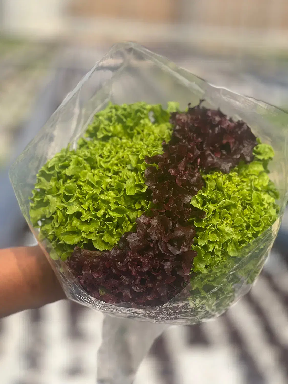 استخدام ویزیتور|استخدام بازاریابی و فروش|اصفهان, محمودآباد|دیوار