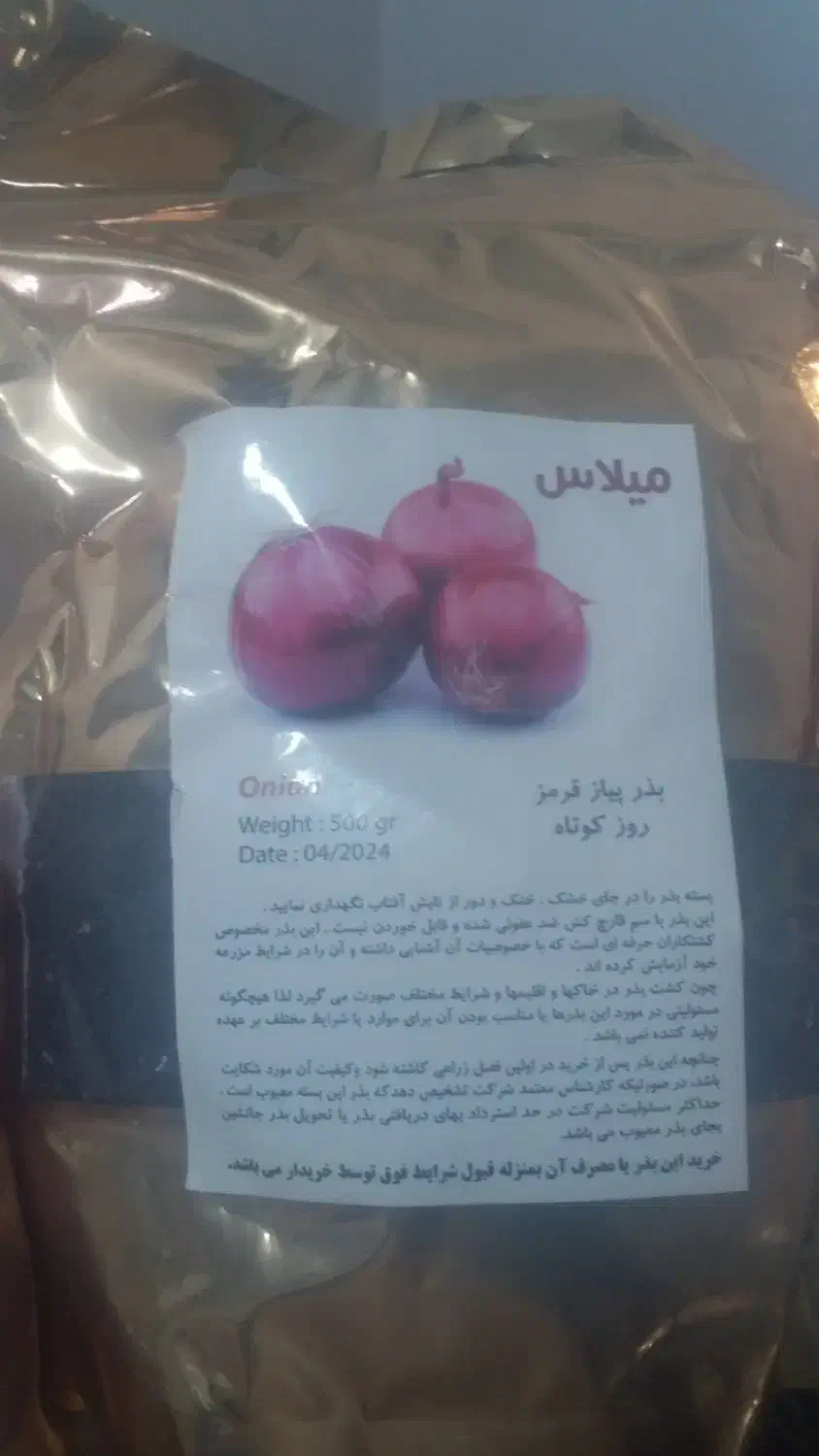 فروش بذر پیاز زرد ریو. قرمز .‌.مینروا سفید|گل و گیاه طبیعی|کهنوج, |دیوار