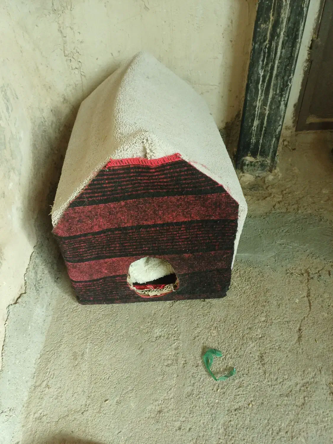 جاخواب بچه گربه|لوازم جانبی حیوانات|شراء, |دیوار