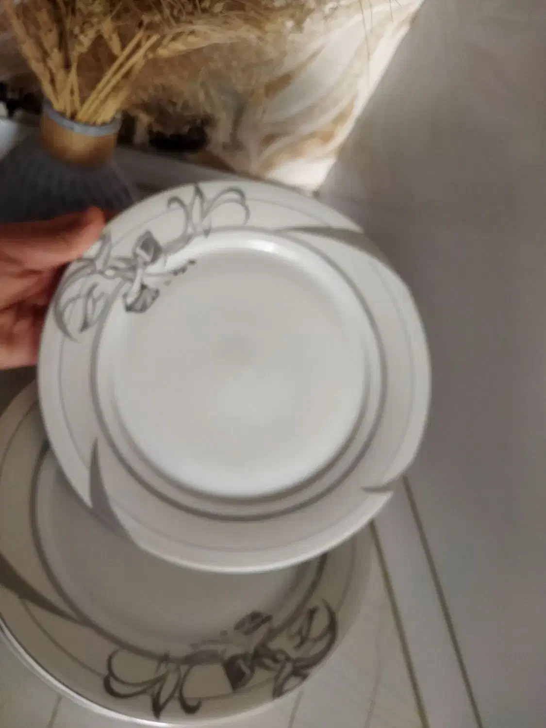 برنج خوری چینی با طرح نقره ای رنگ|ظروف سرو و پذیرایی|شیروان (خراسان), |دیوار