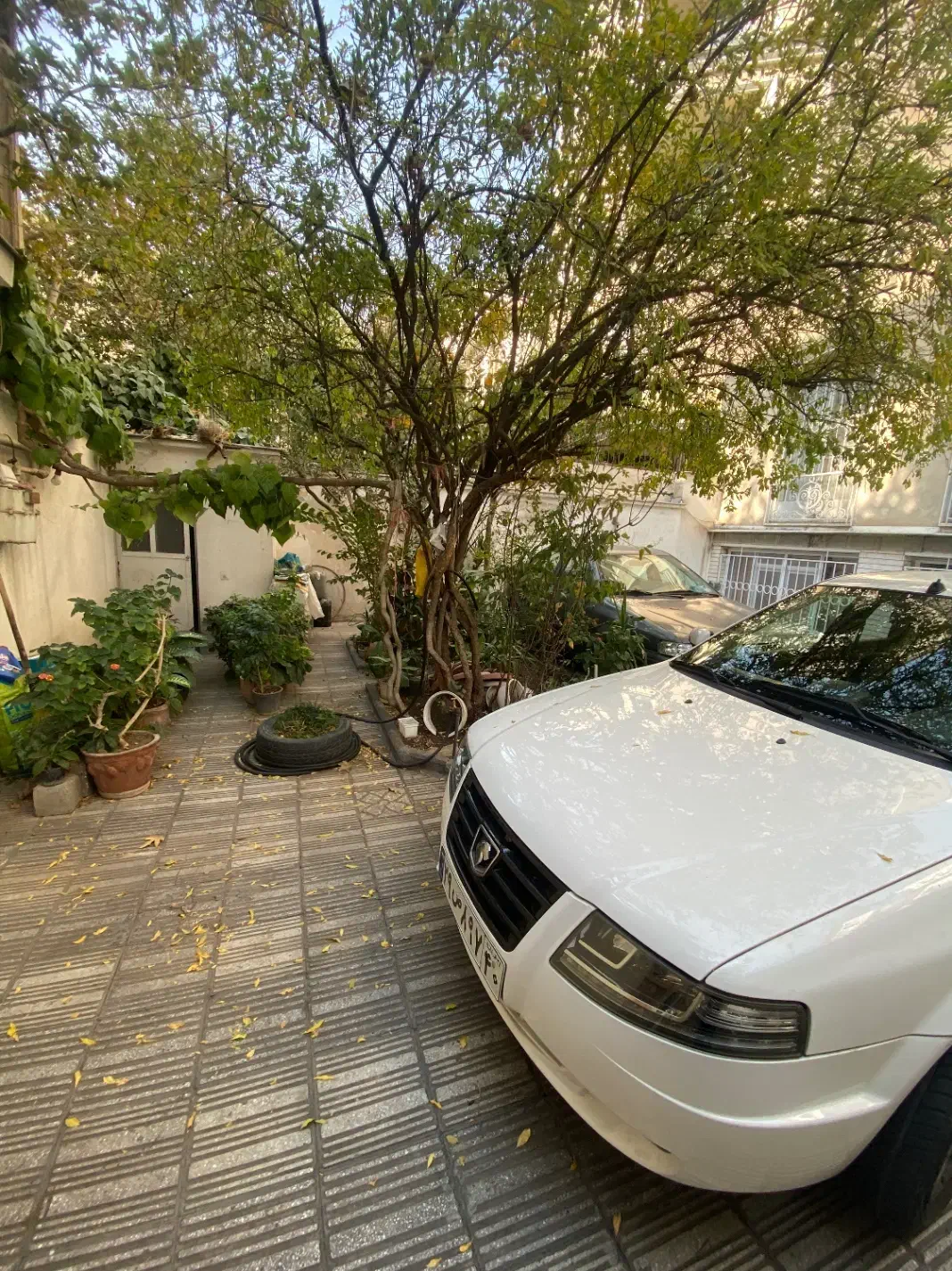 فروش کلنگی اقدسیه ۲۵۰متر زمین|فروش خانه و ویلا|تهران, اقدسیه|دیوار