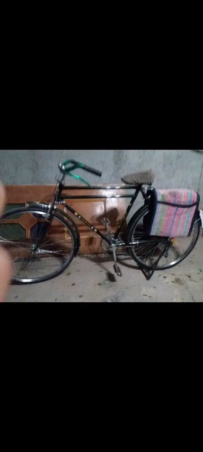 دوچرخه چینی|دوچرخه، اسکیت، اسکوتر|هرند, |دیوار