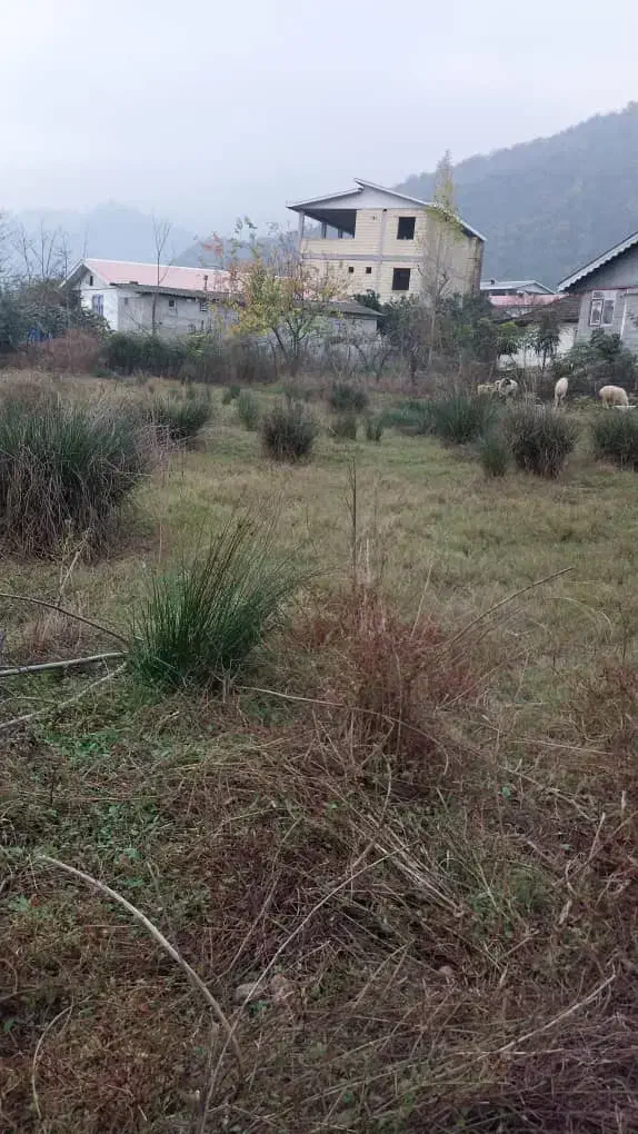 زمین به متراژ ۵۰۰ متر|فروش زمین و ملک کلنگی|حویق, |دیوار