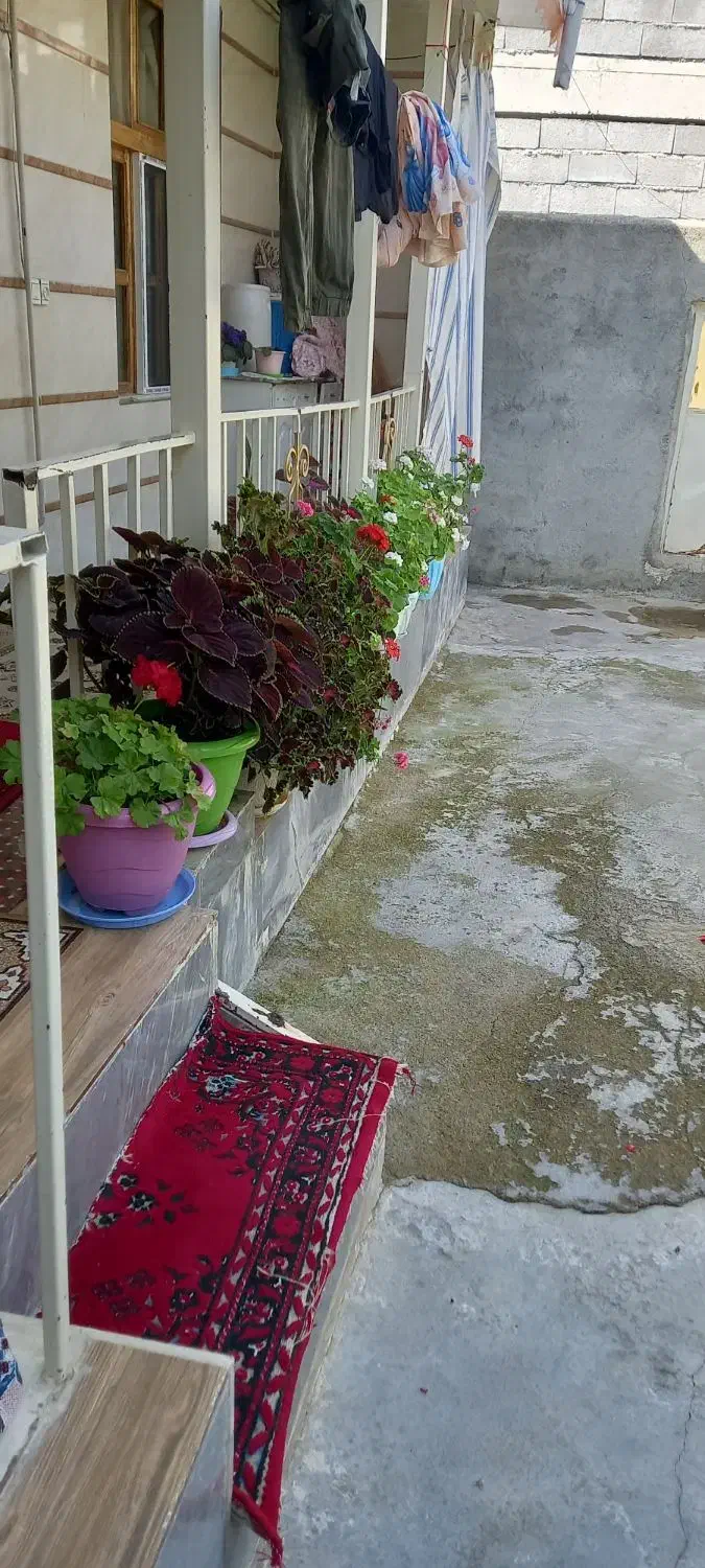 گل طبیعی|گل و گیاه طبیعی|خلخال, |دیوار