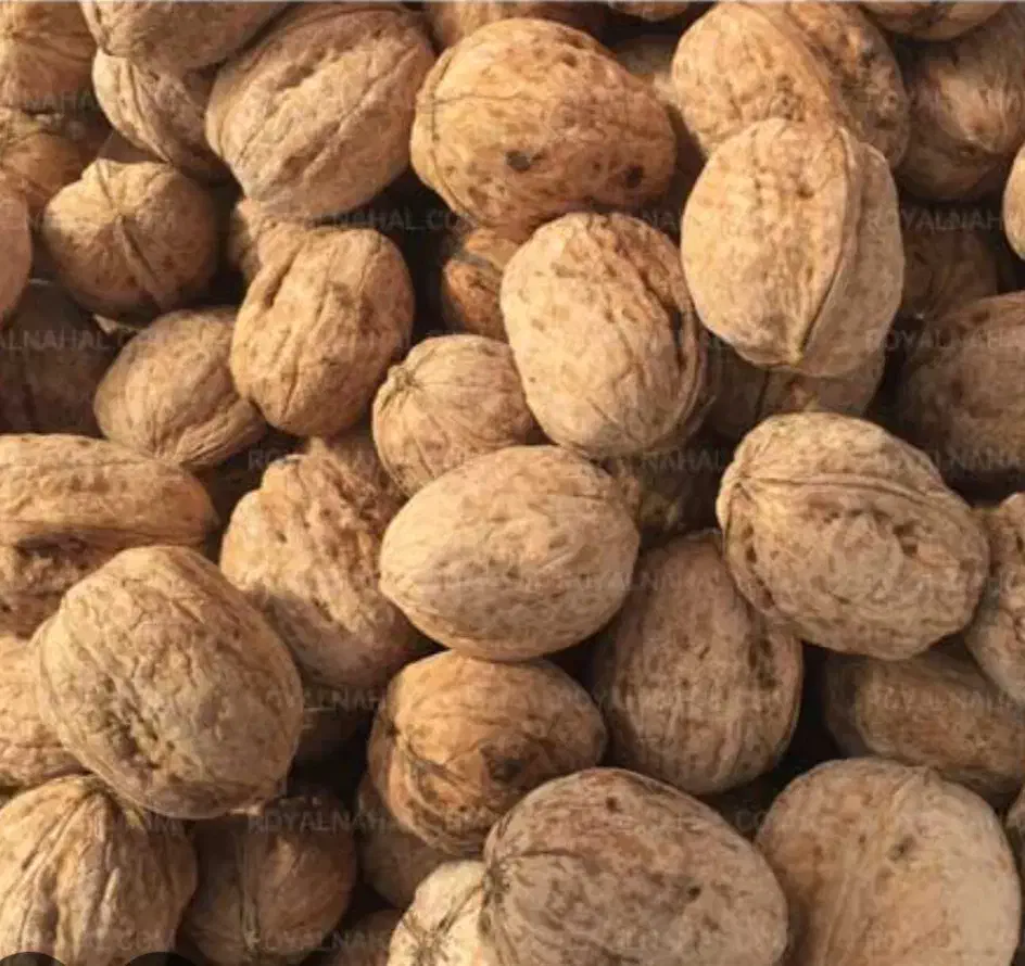 گردو خشک|خوردنی و آشامیدنی|نهاوند, |دیوار