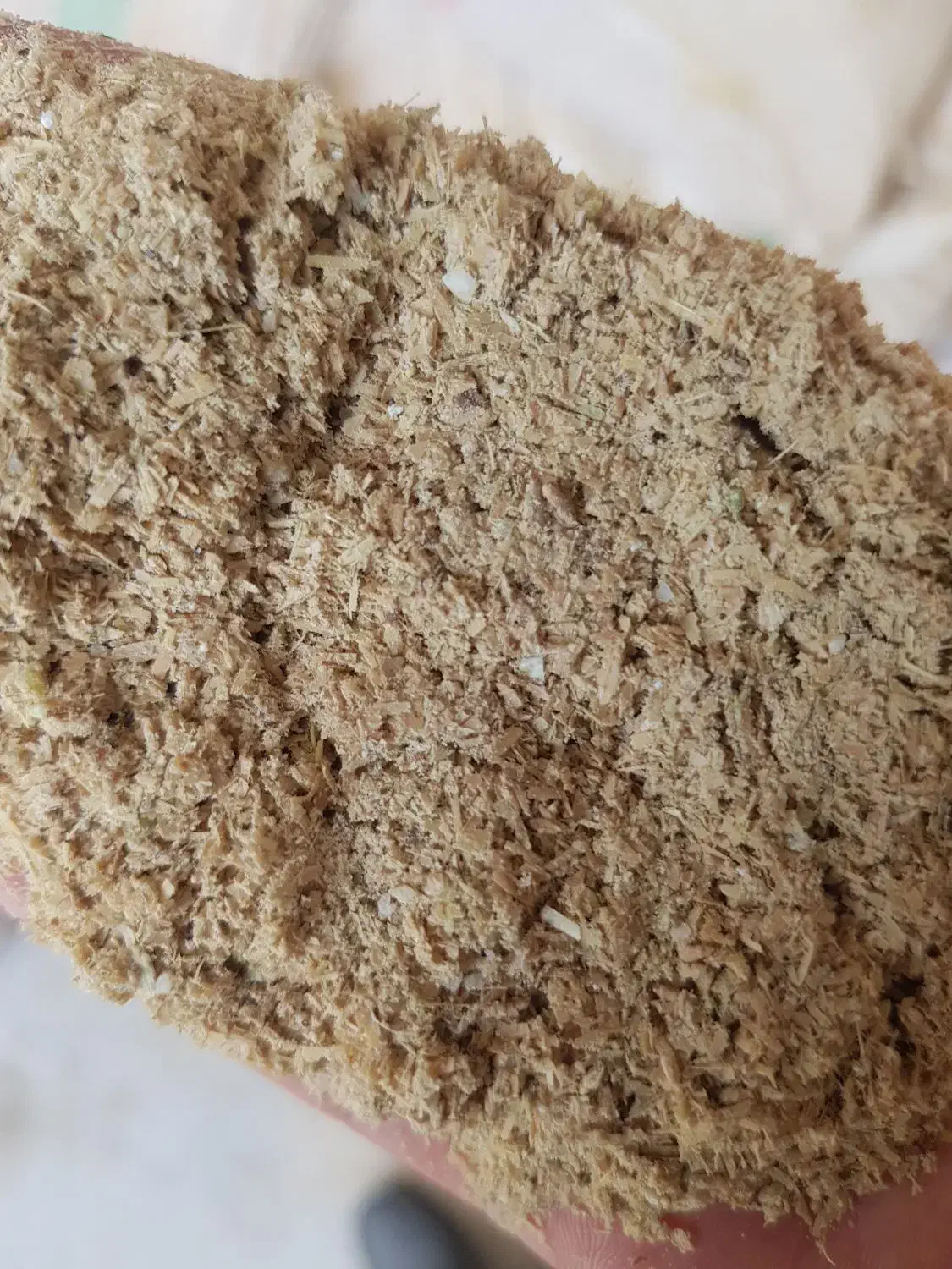 سبوس برنج تازه و طبیعی (مناسب انواع طیور)|حیوانات مزرعه|ری, فیروزآباد|دیوار