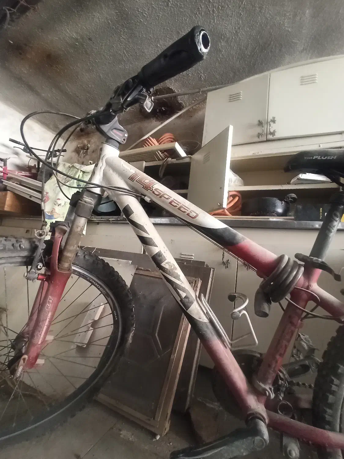 دوچرخه حرفه ای ویوا|دوچرخه، اسکیت، اسکوتر|گرگان, |دیوار