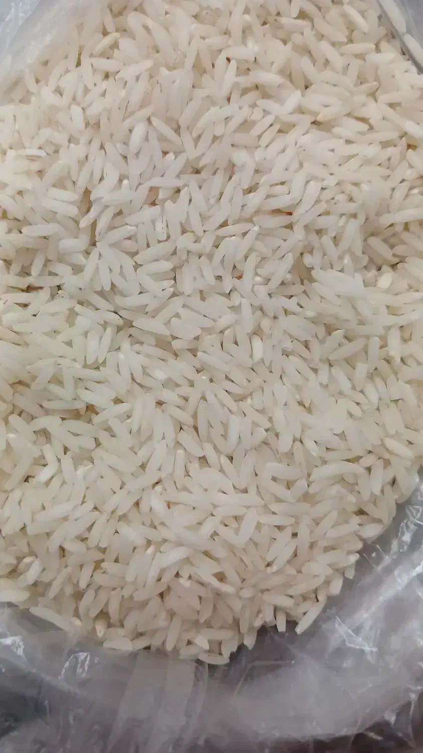 برنج هاشمی معطر گیلان از تولیدکننده بخر|خوردنی و آشامیدنی|پره‌سر, |دیوار