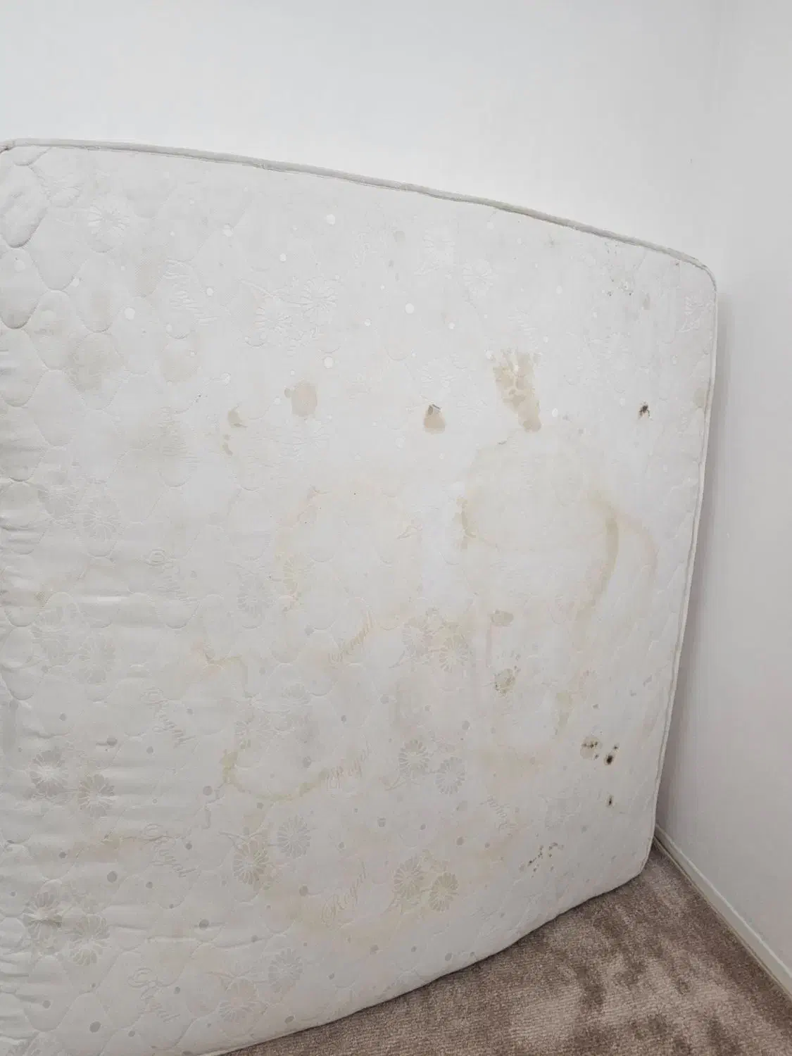 تشک دو نفره ۲*۱۸۳ طبی|تخت و سرویس خواب|قم, بنیاد|دیوار