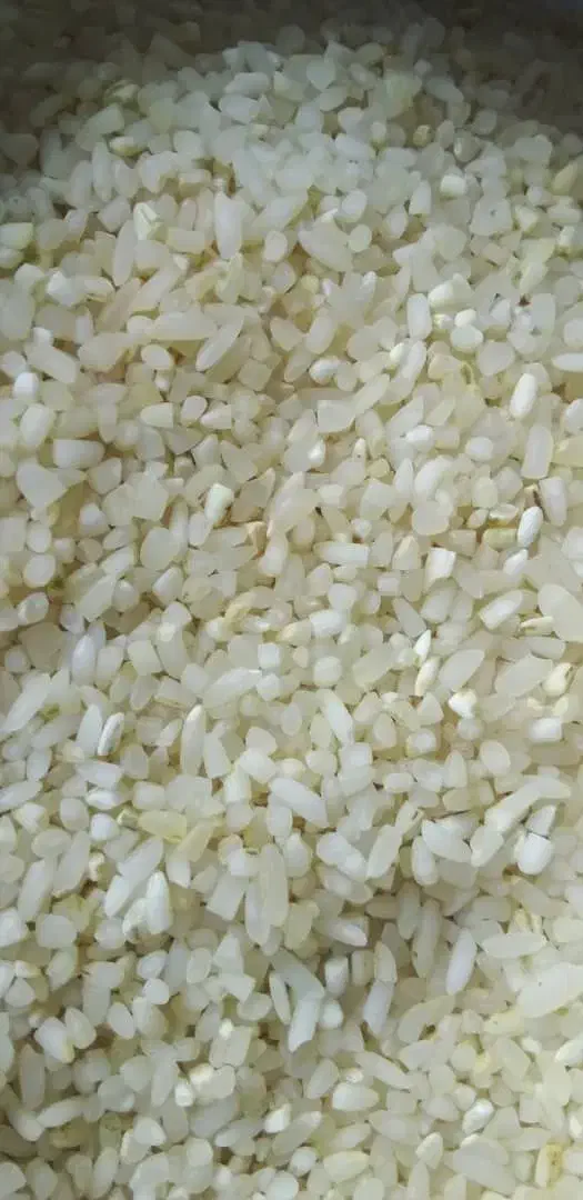 برنج کامفیروزی به شرط|خوردنی و آشامیدنی|شیراز, کوشک میدان|دیوار