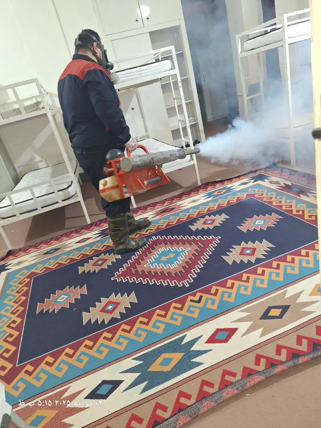 سمپاشی تضمینی ارگانیک حشرات موذی شمال|خدمات نظافت|گرگان, |دیوار