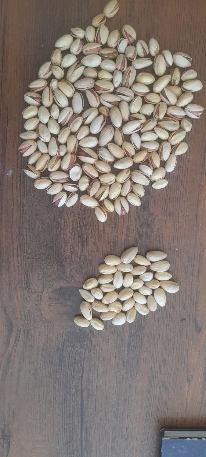 فروش مغز و پسته|خوردنی و آشامیدنی|مه ولات, |دیوار