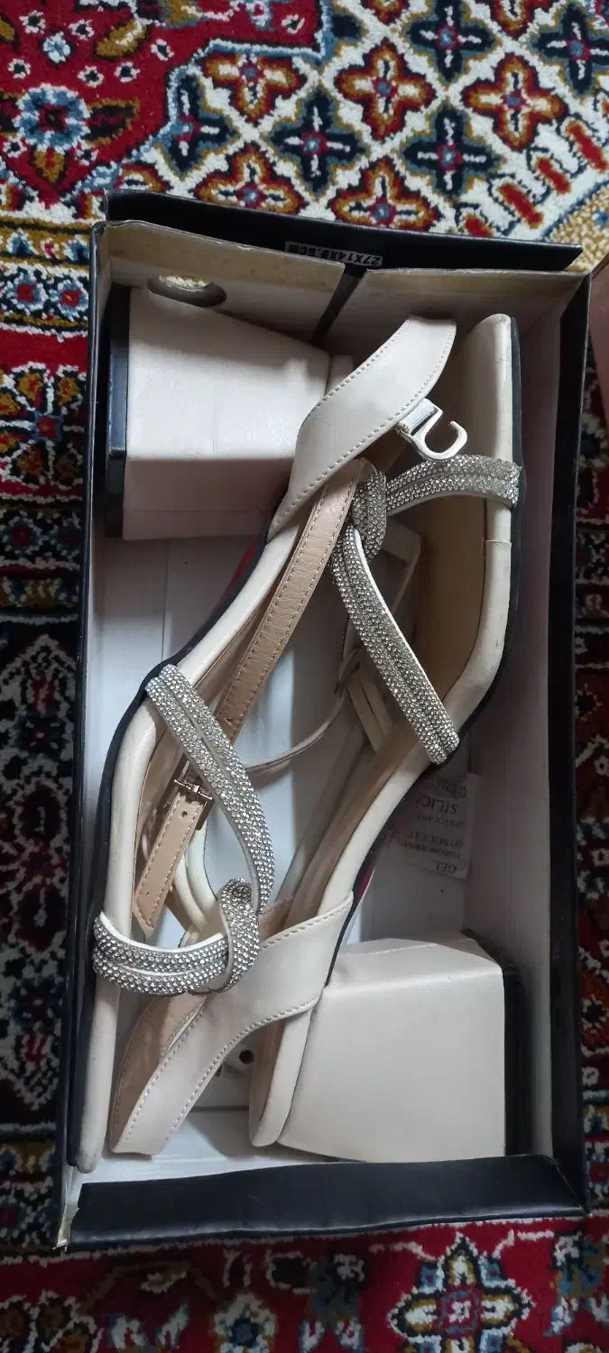 کفش مجلسی|کیف، کفش، کمربند|بهبهان, |دیوار