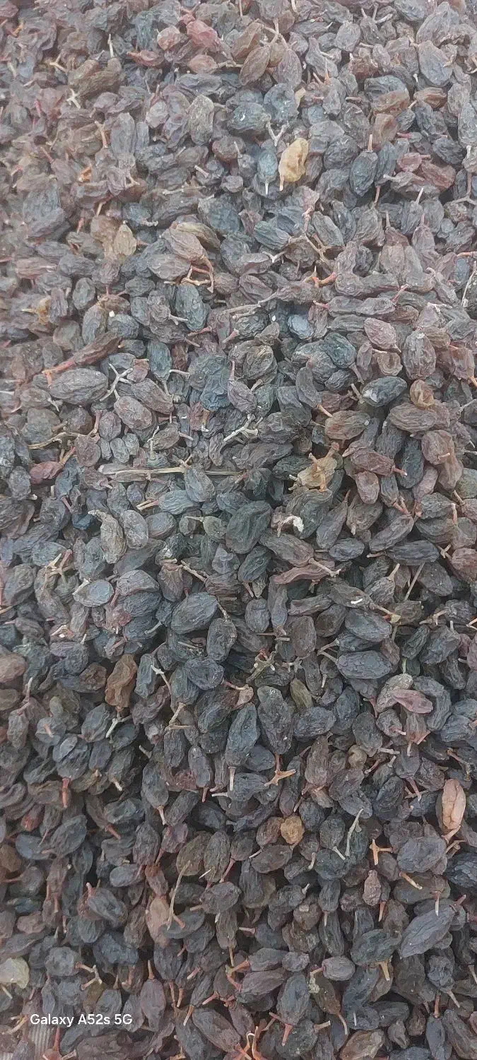 کشمش|خوردنی و آشامیدنی|اشنویه, |دیوار