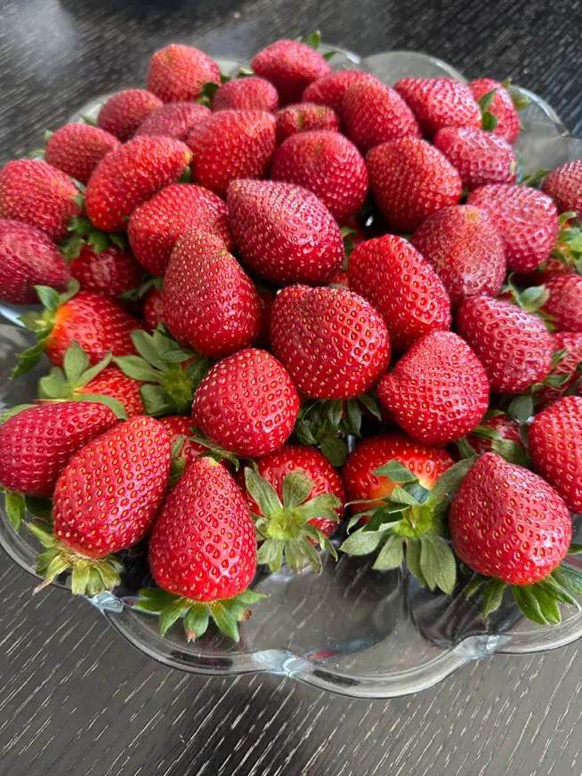 استخدام کارشناس کشاورزی|استخدام صنعتی، فنی، مهندسی|چناران, |دیوار