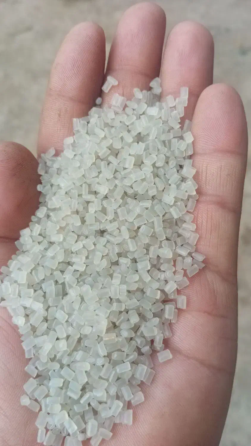 گرانول ممتاز 1|عمده‌فروشی|رضویه, |دیوار