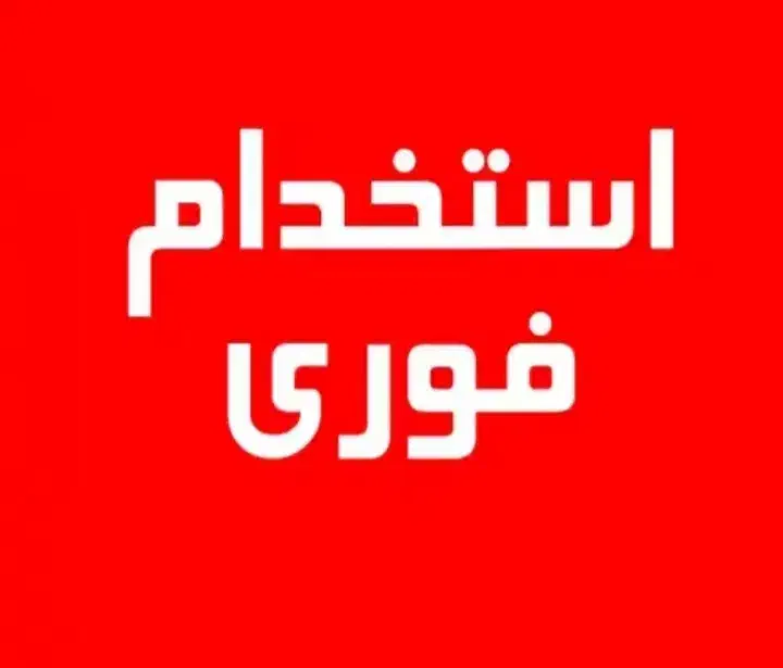 استخدام هوش مصنوعی و طراحی سایت+آموزش رایگان|استخدام رایانه و فناوری اطلاعات|قم, ناصردیوان|دیوار