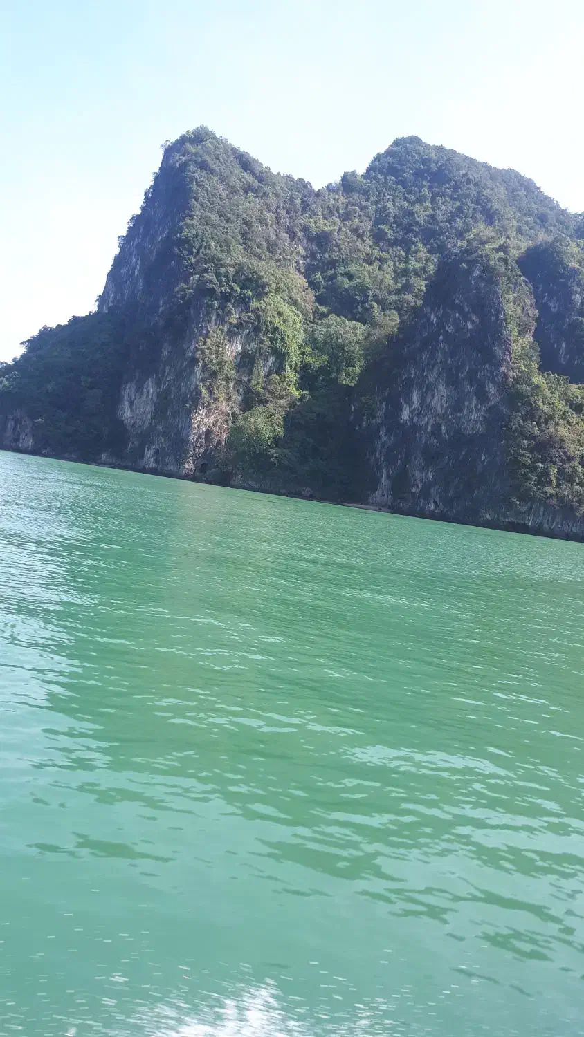 همسفر|تور و چارتر|فولادشهر, B7|دیوار