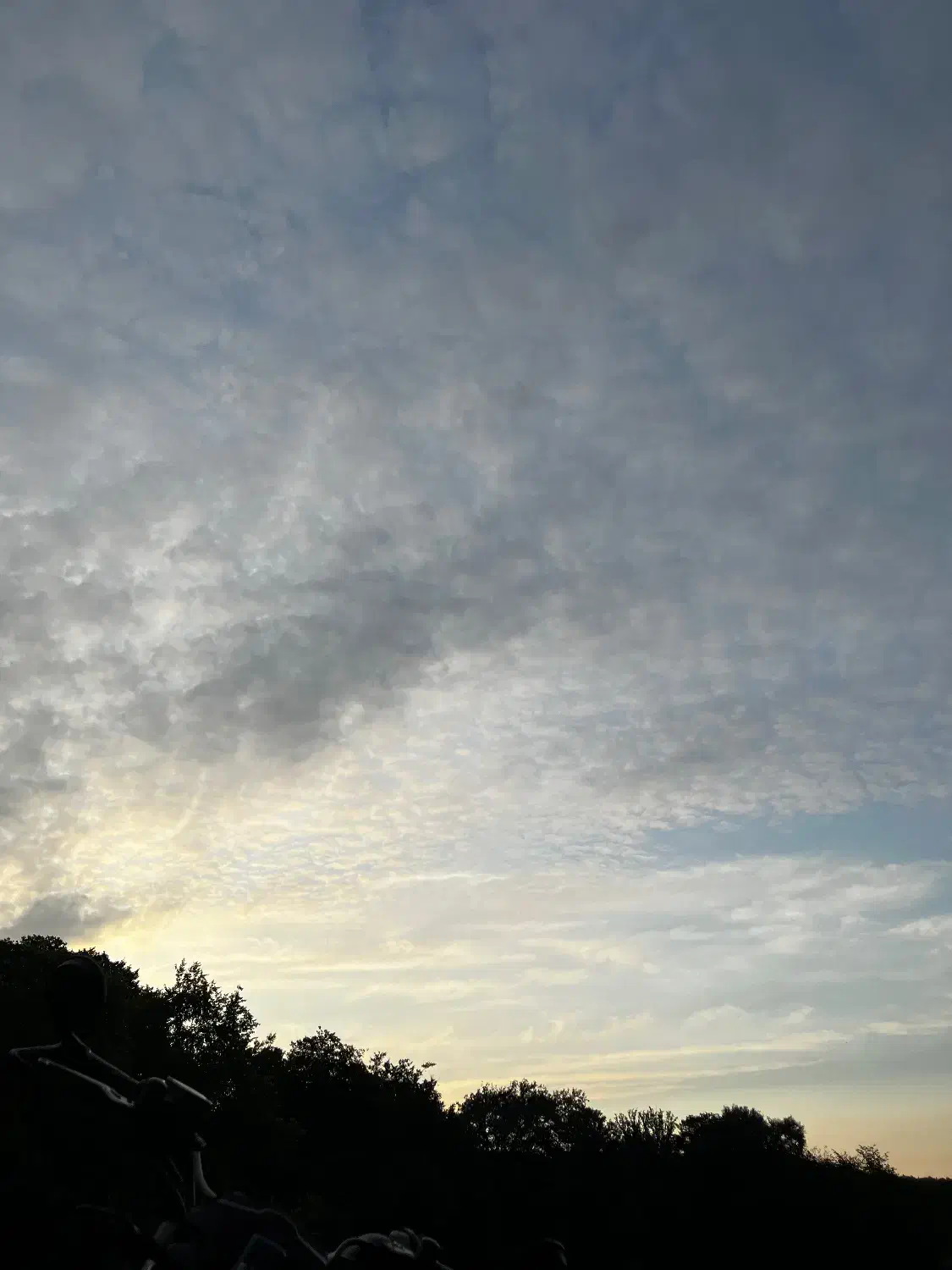 کوله پشتی گمشده|اشیا|گرگان, |دیوار