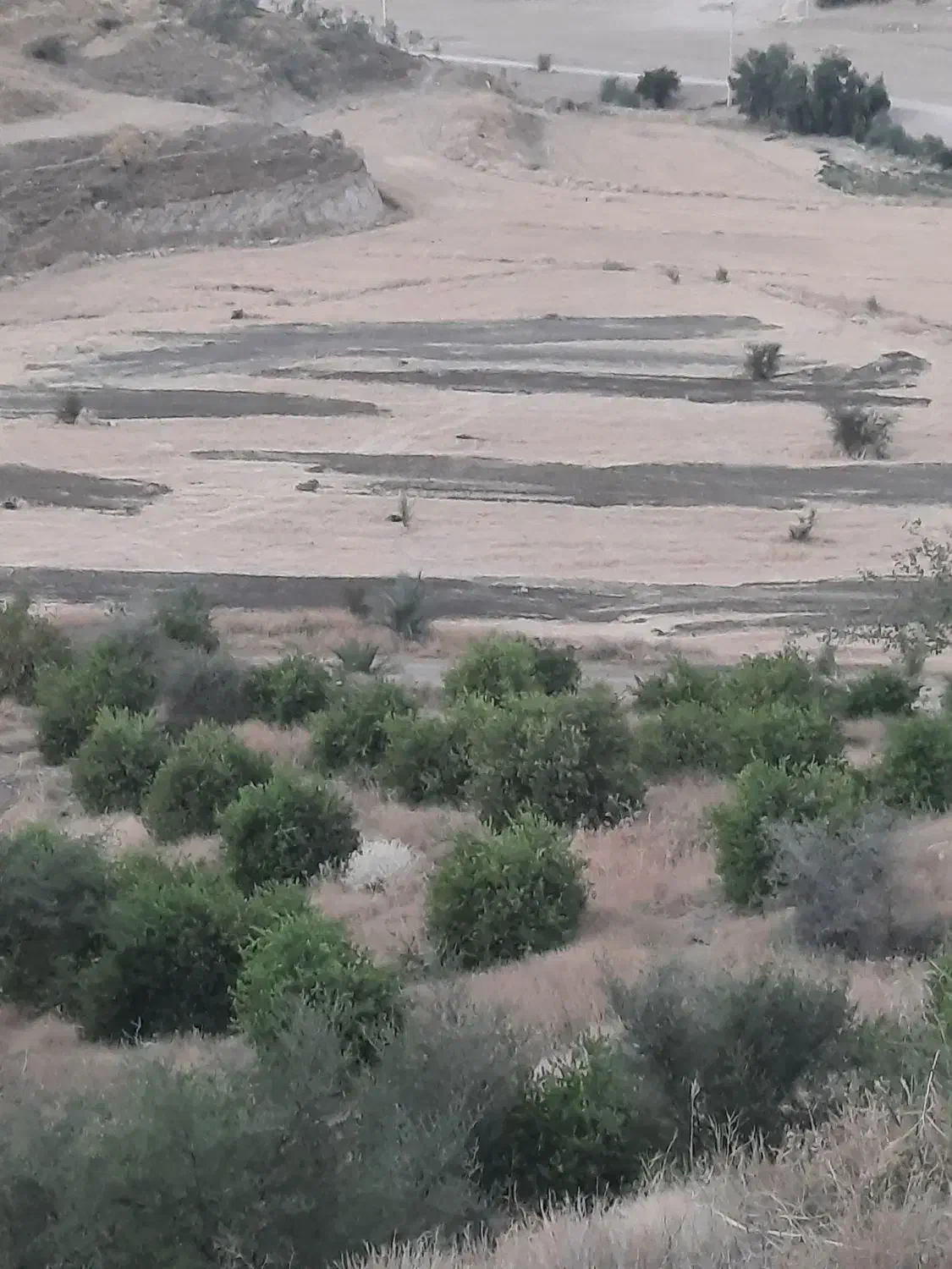 فروش زمین کشاورزی ابی|فروش دفتر صنعتی، کشاورزی، تجاری|سوق, |دیوار