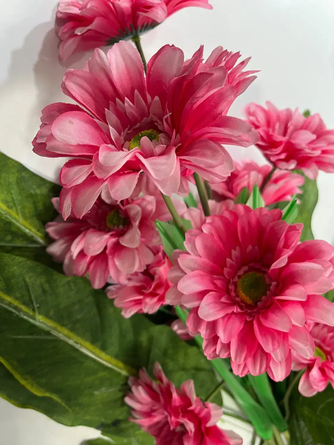 گل مصنوعی|گل مصنوعی|ابهر, |دیوار