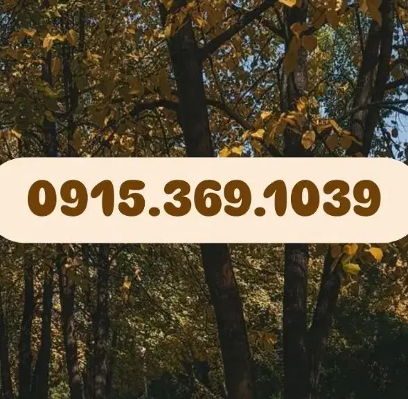 0915.369.1039|سیمکارت|اسفراین, |دیوار