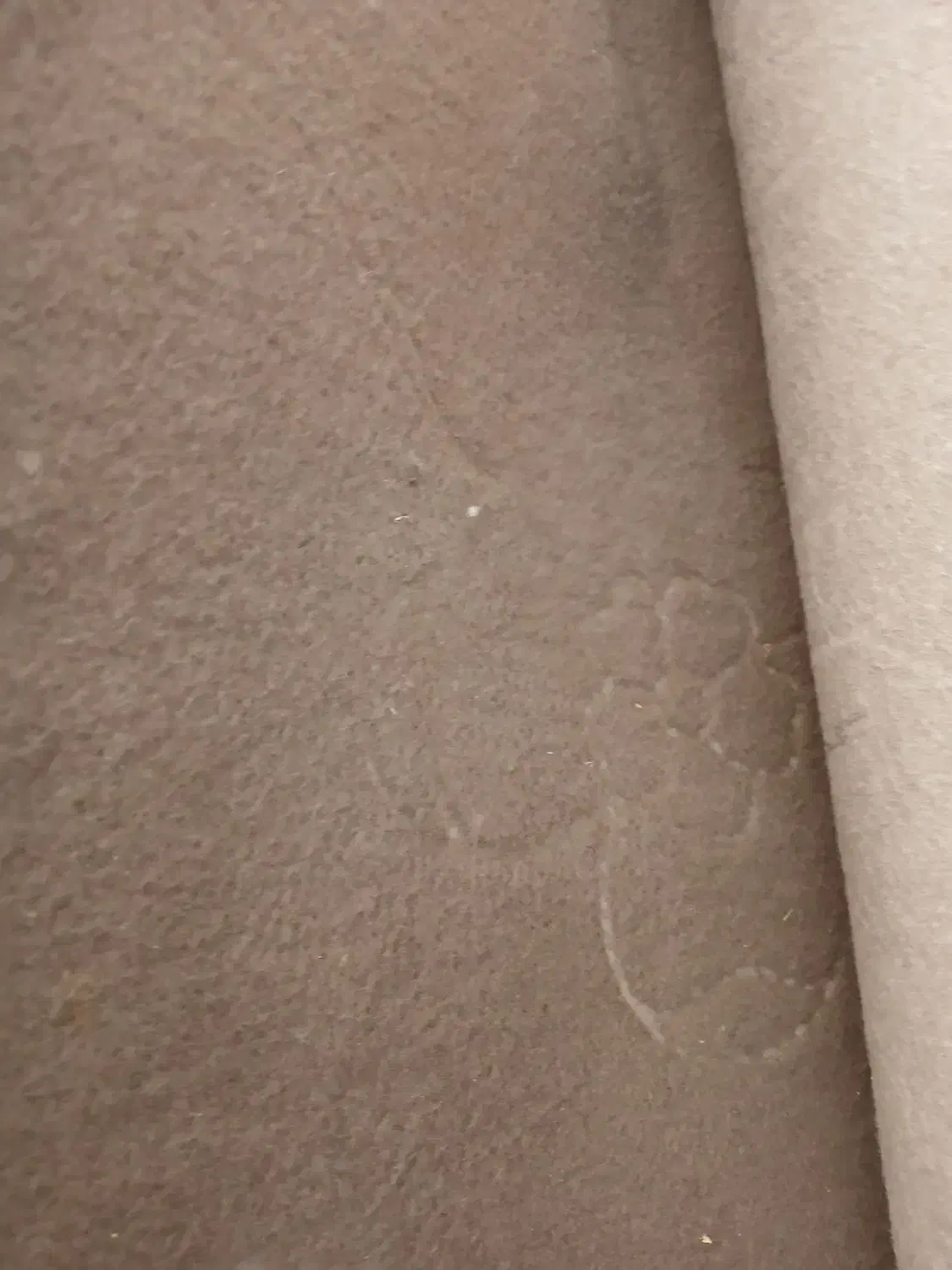 موکت وگلیم|موکت|نورآباد, |دیوار