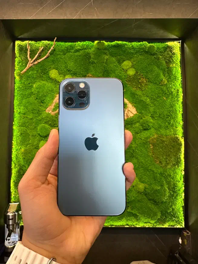 iphone 12 Pro ZA 256|موبایل|تهران, حر|دیوار