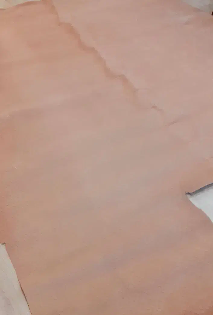 فرش‌وموکت|فرش|مشهد, تربیت (صدف)|دیوار