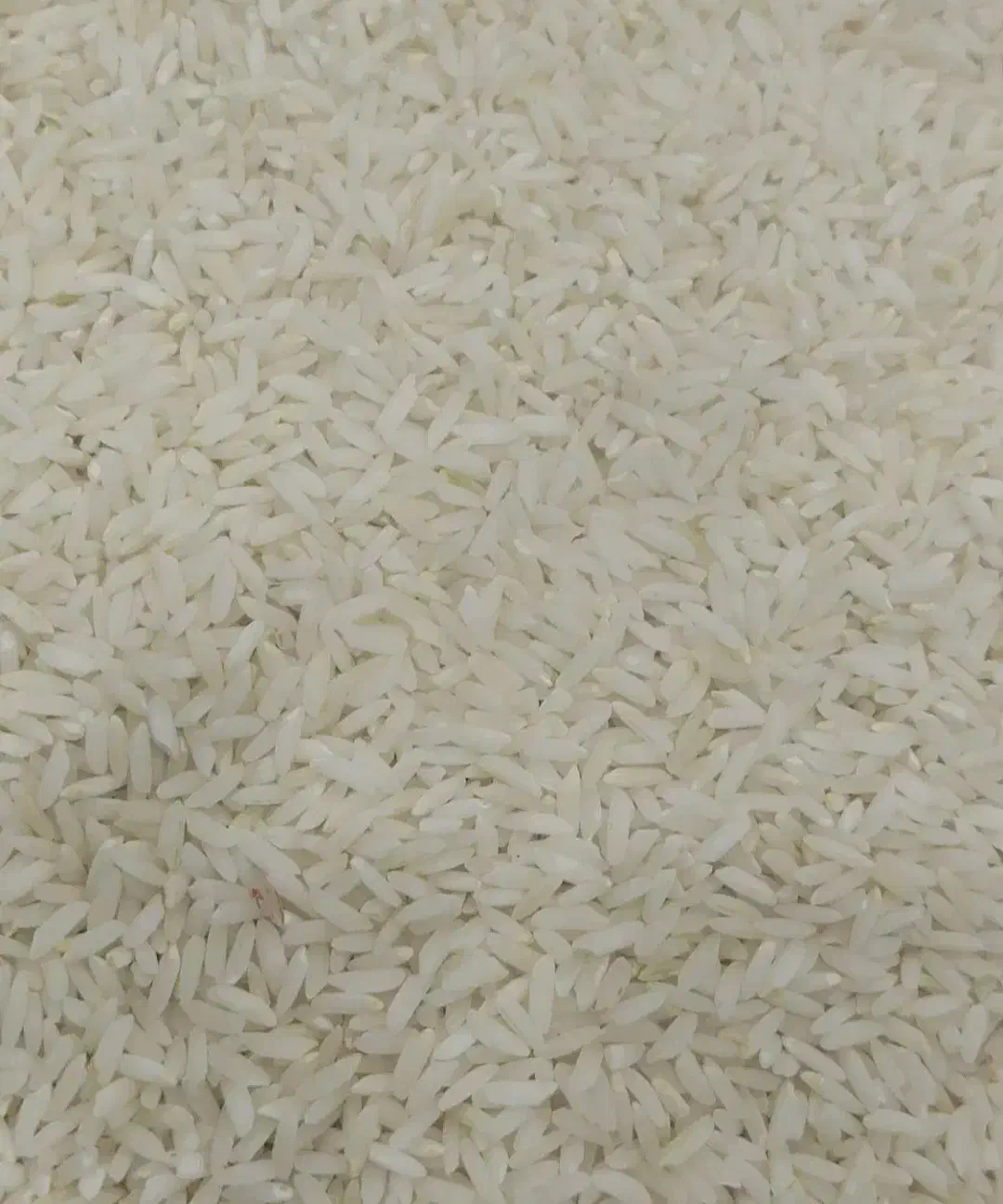 برنج درجه یک سال دوم محلی دورود|خوردنی و آشامیدنی|دورود, |دیوار