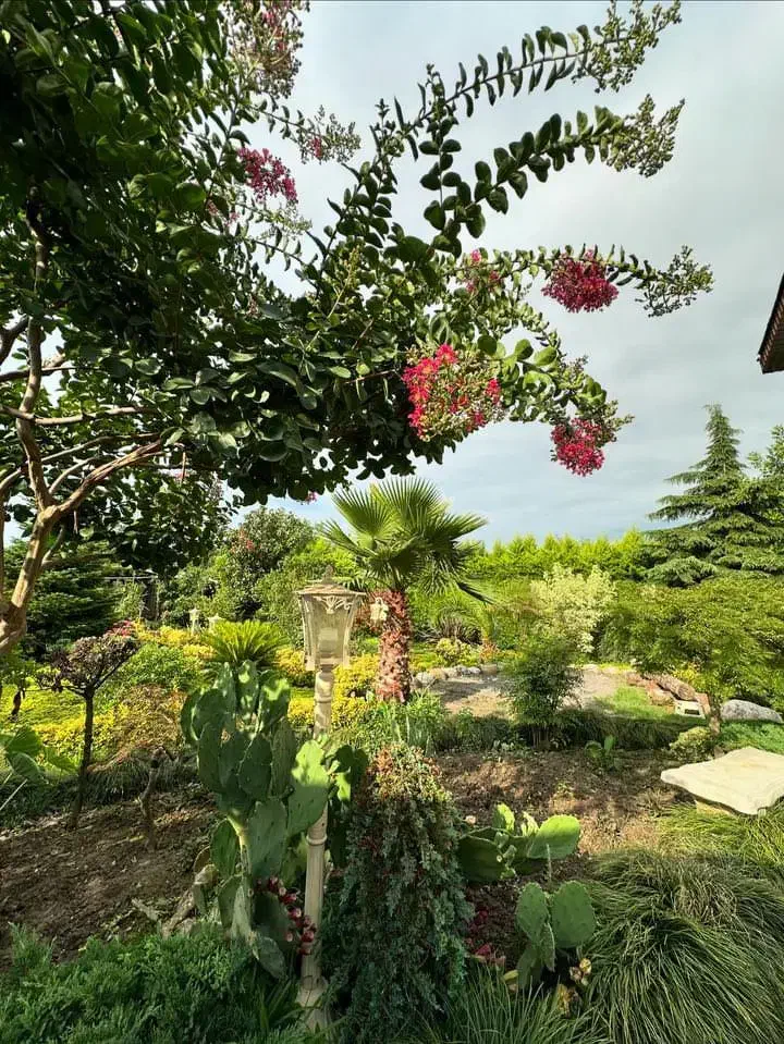 حراج کلی وسایل منزل|حراج|چالوس, |دیوار