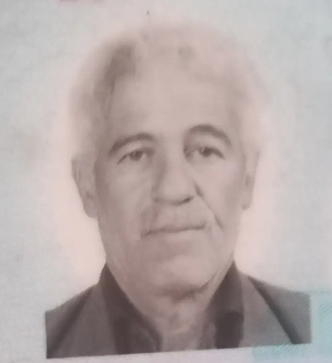 گواهینامه رانندگی|اشیا|آذرشهر, |دیوار