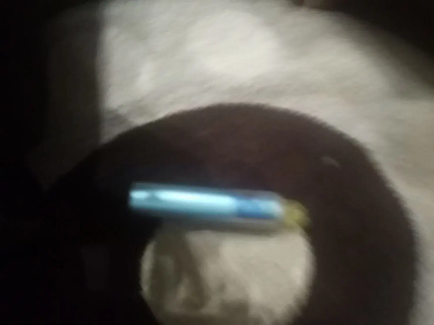 ویو سالم|زیورآلات و اکسسوری|صومعهسرا, |دیوار