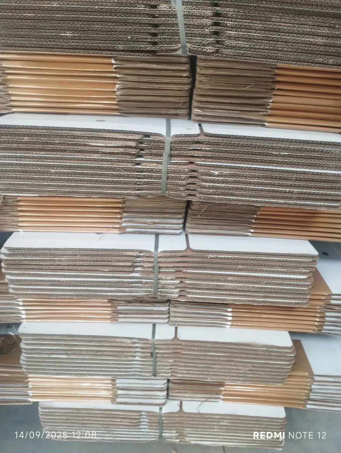 کارتن سازی|استخدام صنعتی، فنی، مهندسی|شاندیز, |دیوار