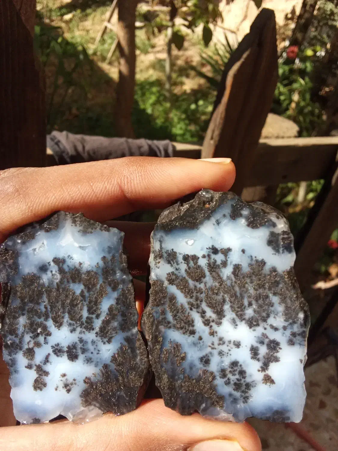 انواع سنگ شجرمشکی خراسان|کلکسیون اشیاء عتیقه|شهرکرد, |دیوار