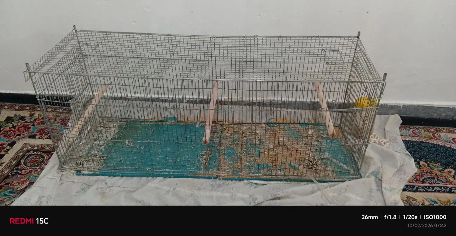 قفس|لوازم جانبی حیوانات|پاکدشت, پاکدشت (مامازند)|دیوار