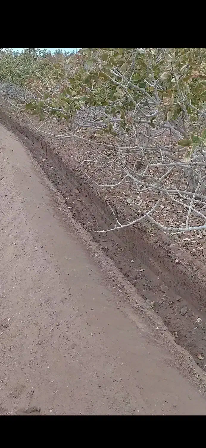 دستگاه ترنچر برای چاله کودی بسیار تمیز..|خدمات باغبانی و درختکاری|رفسنجان, |دیوار