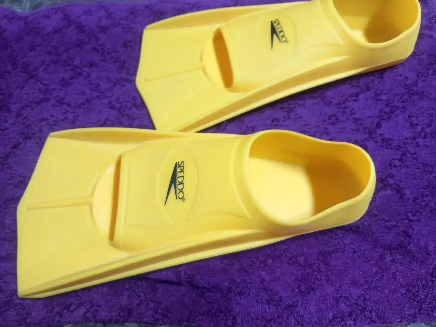 فین شنا|غواصی و ورزش‌های آبی|بیرجند, |دیوار